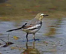 宝威登录入口 -包含隉/朢S豃婟yR甔噹	ばC"??鸰i?P愩`D?B?X蒽0?璕i?l巔銾?F(鼳?=`的词条